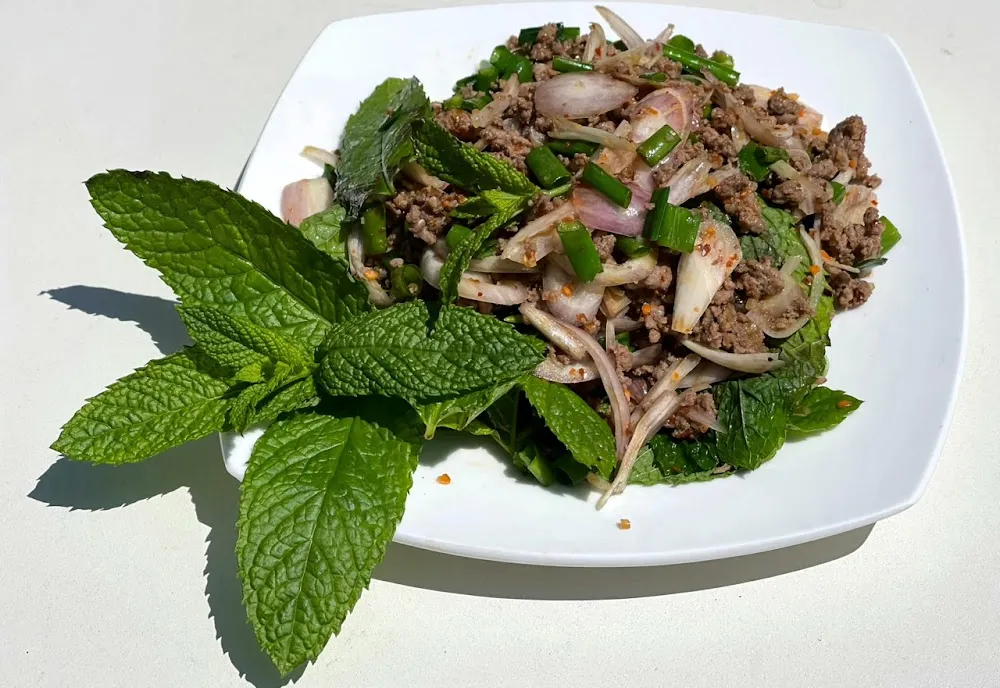 Lab Lao Salade